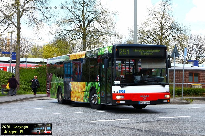 02) 8255-61,SBG,JN.JPG